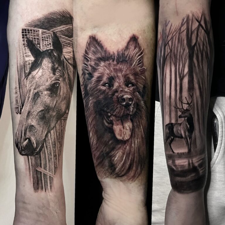 horse in stall, dog with tongue out, and deer in forest with bare trees.