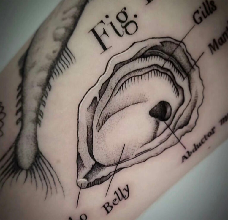 Black and grey anatomical illustration tattoo with fine linework by Syd Vicious