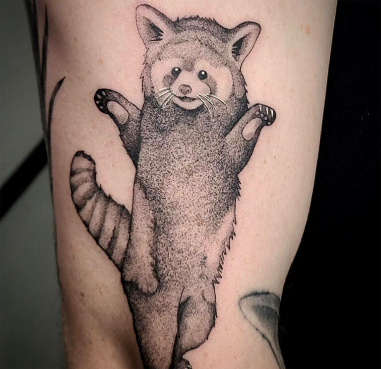 Black and grey red panda tattoo with textured fur by Syd Vicious