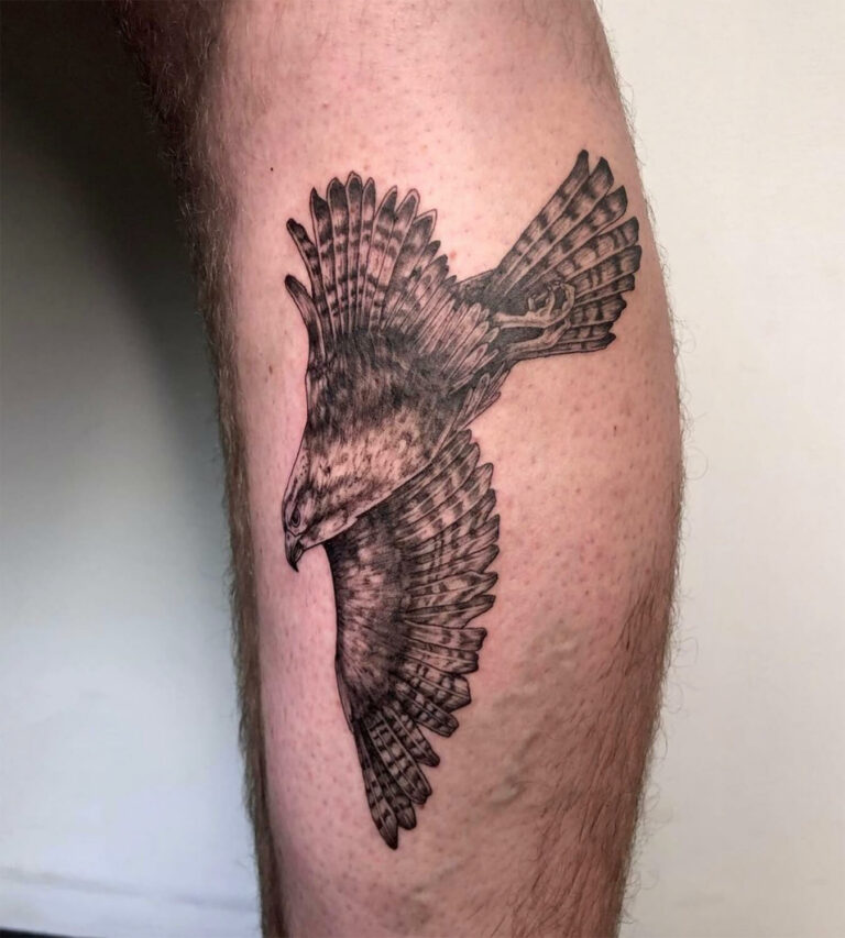 Tattoo of a bird in flight on leg with outstretched wings and detailed feather patterns.
