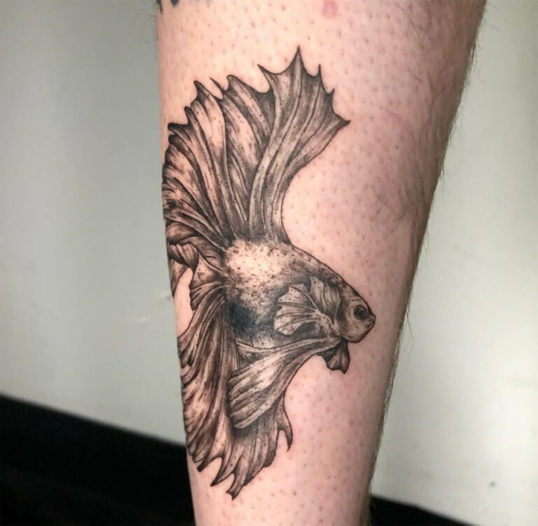 Detailed black and grey betta fish tattoo with flowing fins on a person's skin.