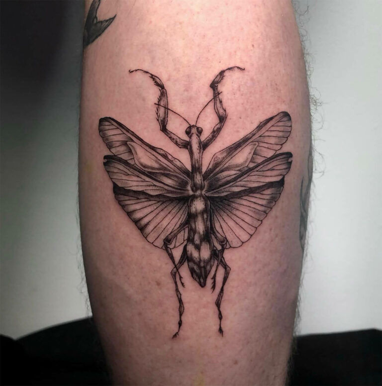 Detailed winged insect tattoo with long jointed legs and layered wings by Tanya