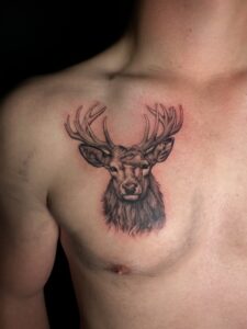 Black and grey realism stag tattoo on the pec