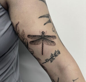 Black/grey microrealism dragonfly tattoo on the upper arm