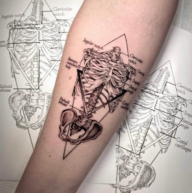 Fineline microrealism tattoo of an anatomically correct skeleton with bony landmarks labeled