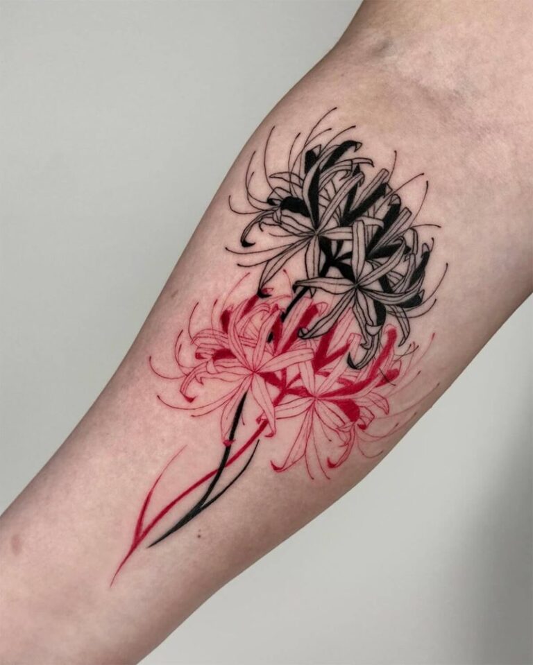 Black and red fineline spider lily tattoo